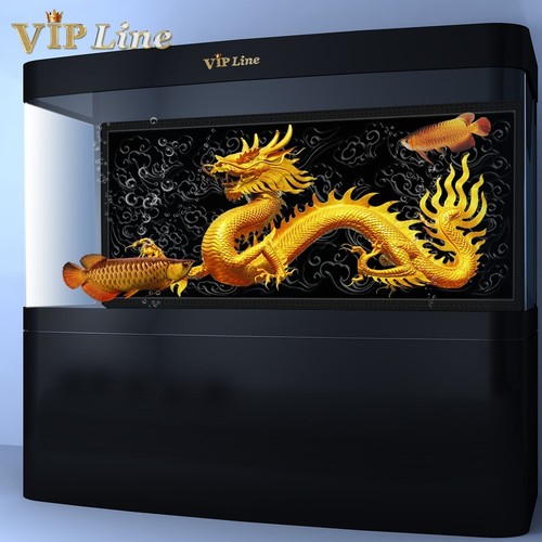 Poster sfondo acquario drago